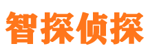 民勤婚外情调查取证